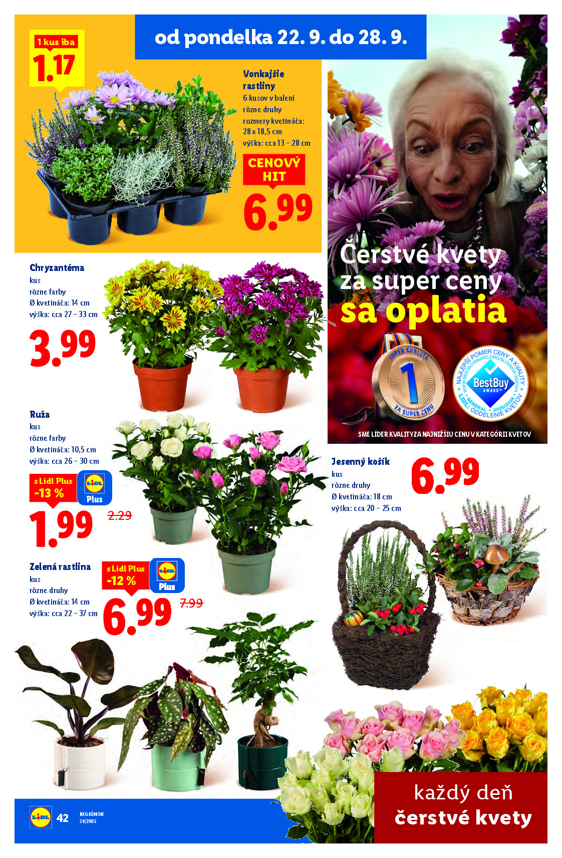 Strana letáku 48