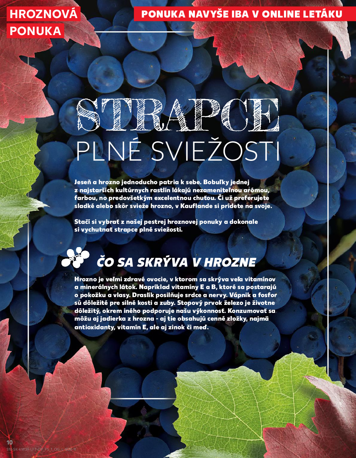 Strana letáku 10