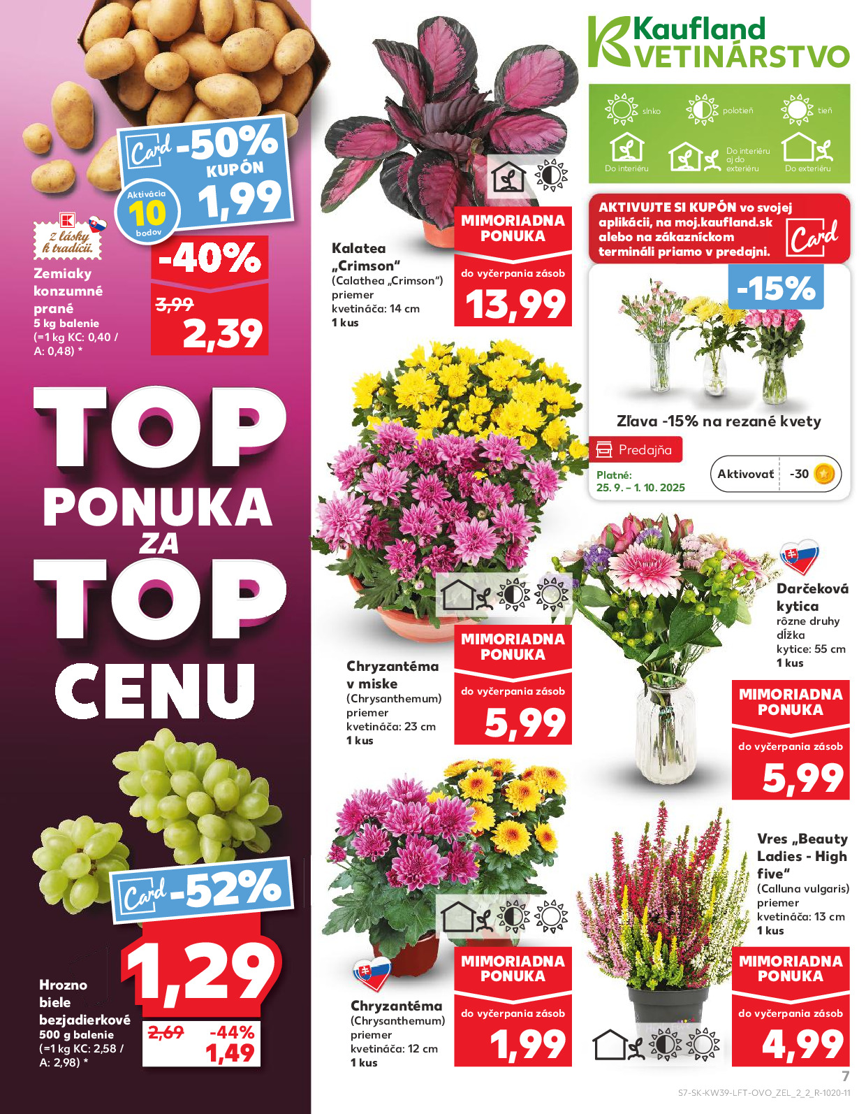 Strana letáku 7