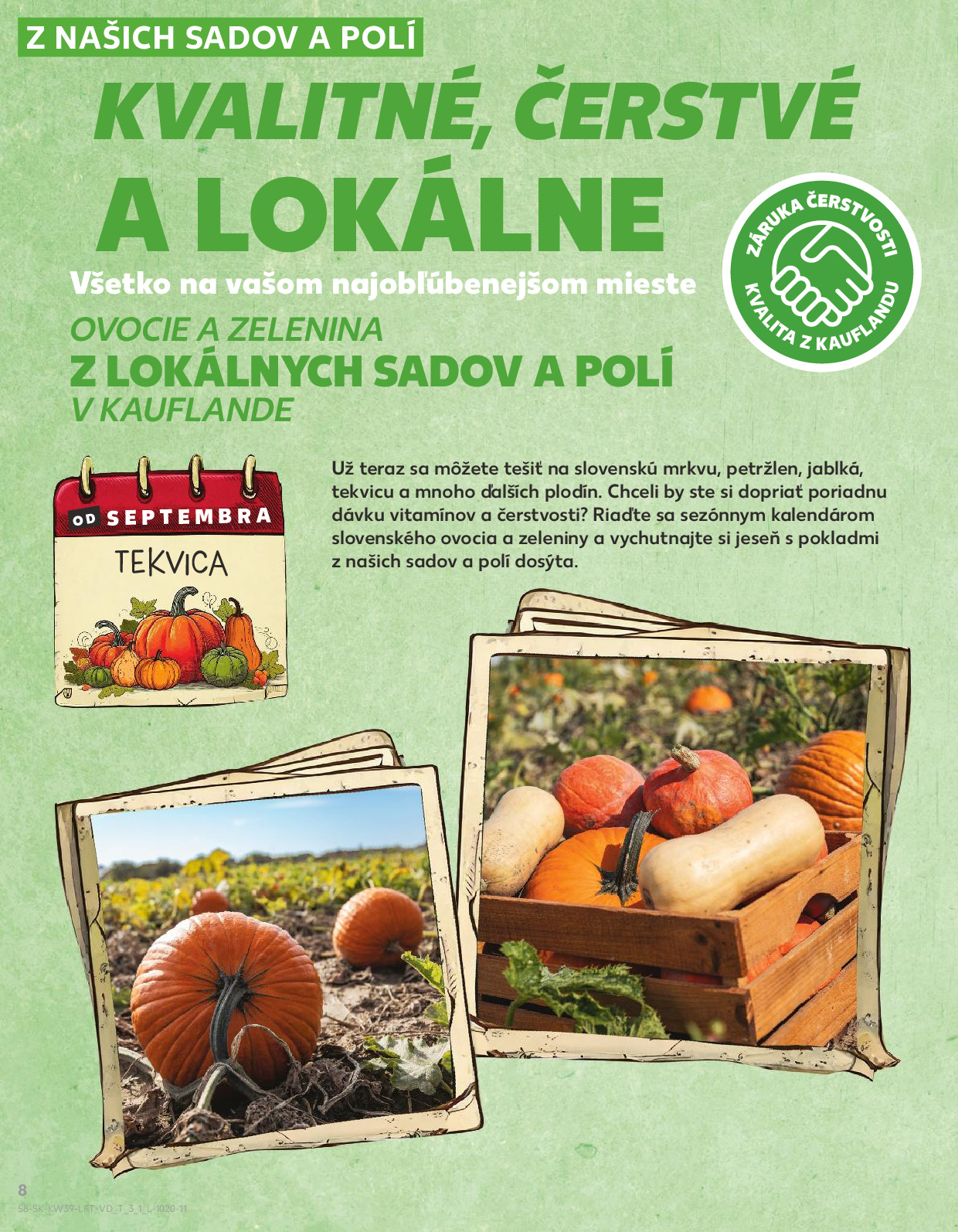 Strana letáku 8