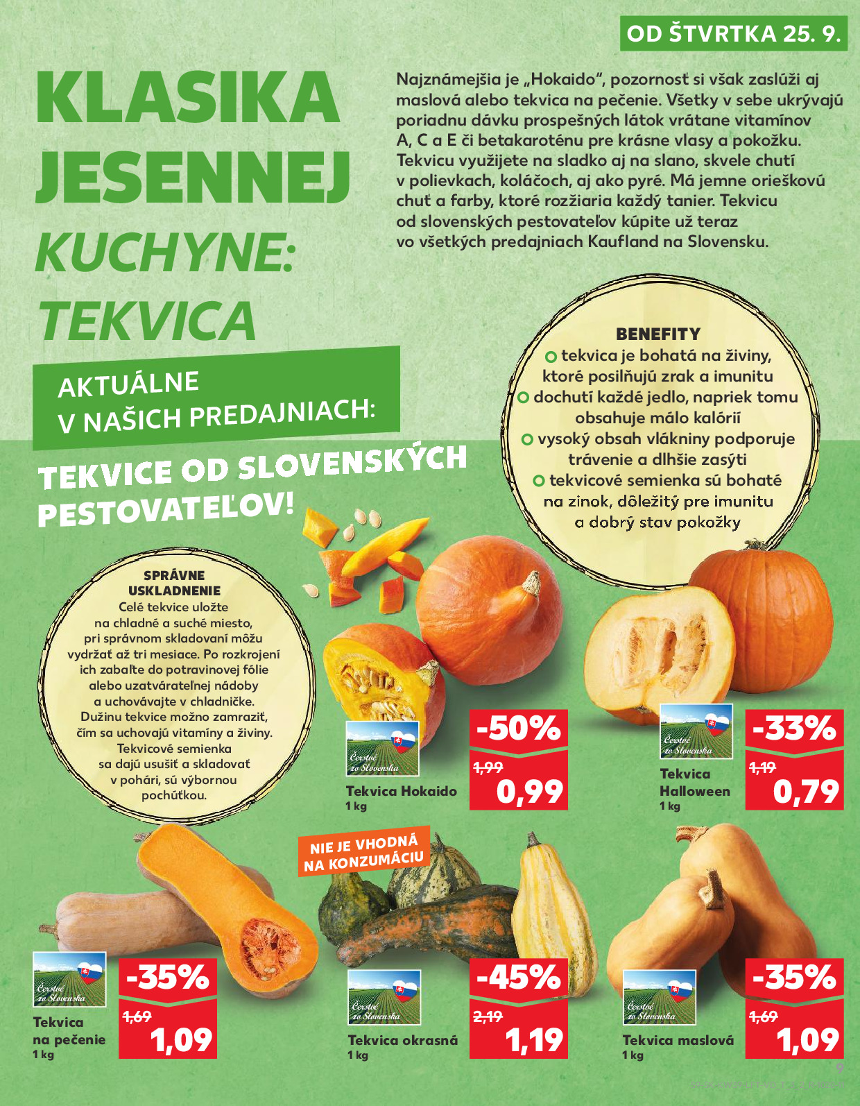 Strana letáku 9