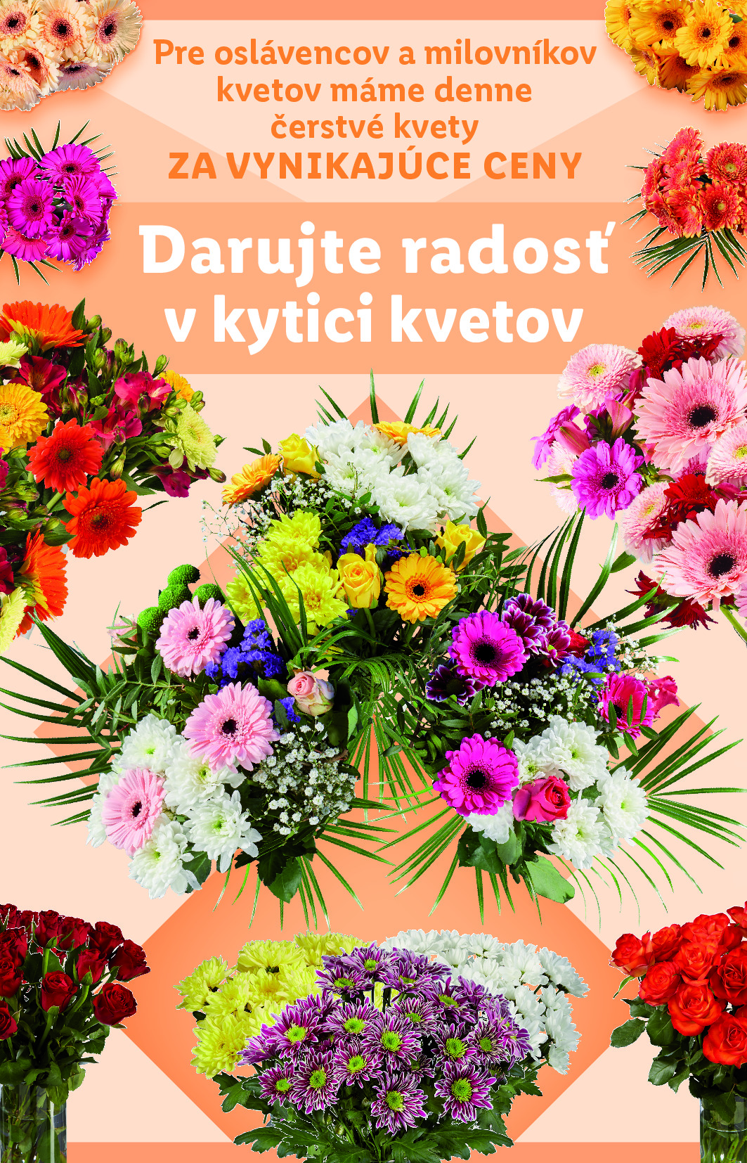 Strana letáku 47