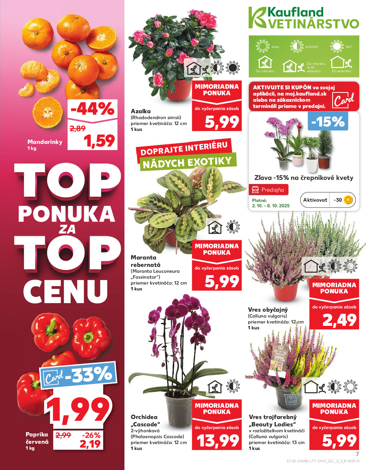 Strana letáku 7