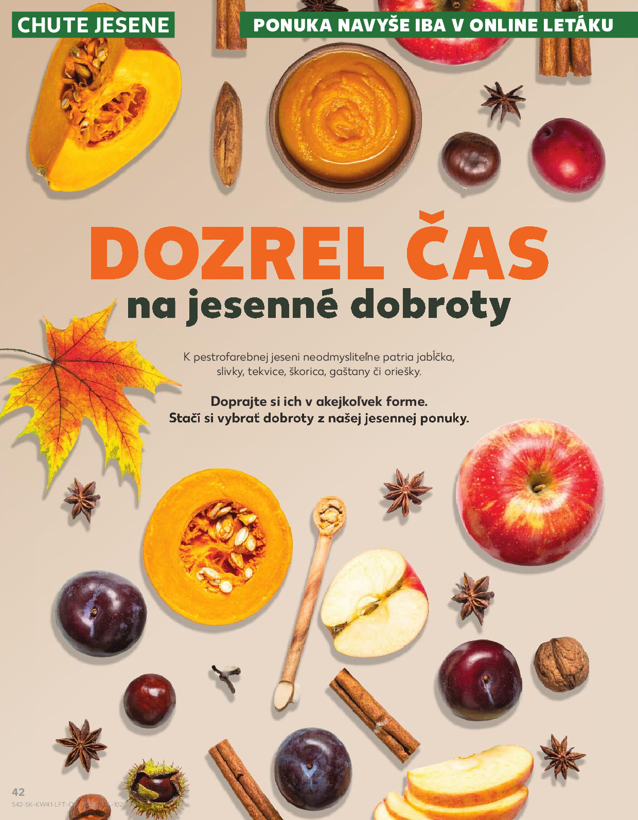 Strana letáku 42