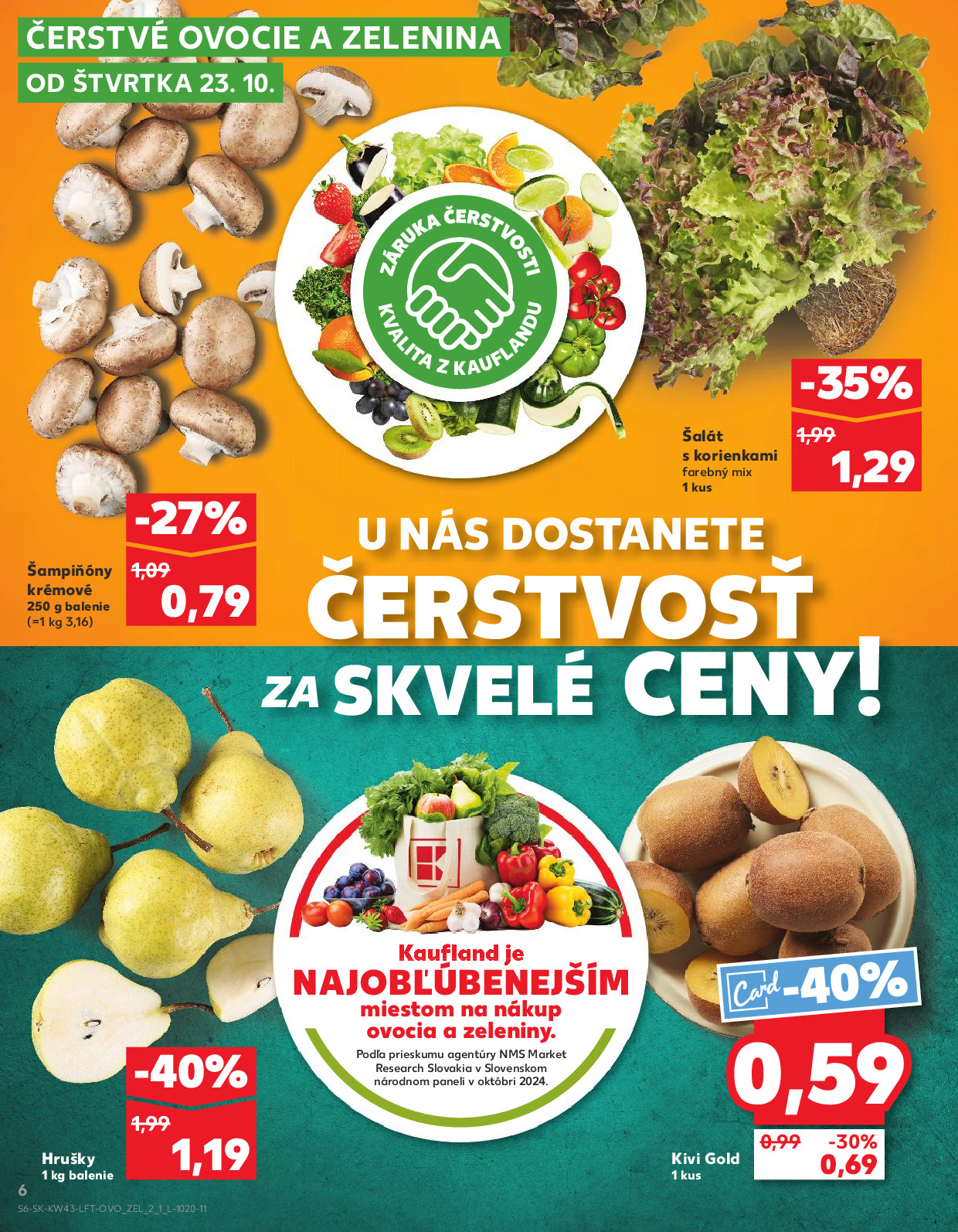 Strana letáku 6
