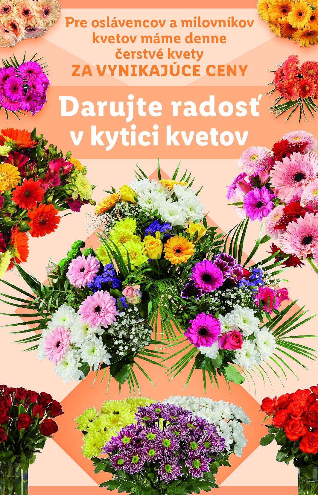 Strana letáku 42