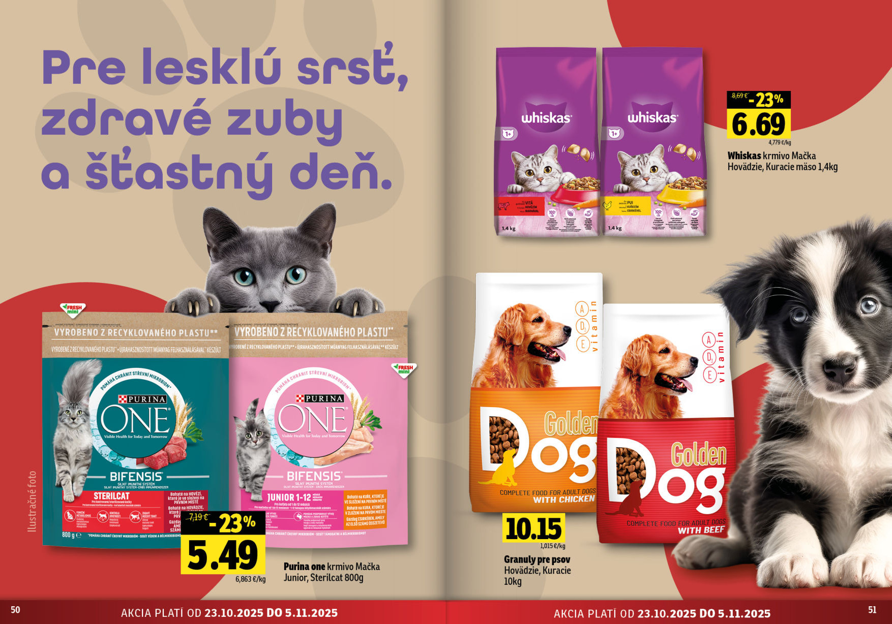 Strana letáku 26