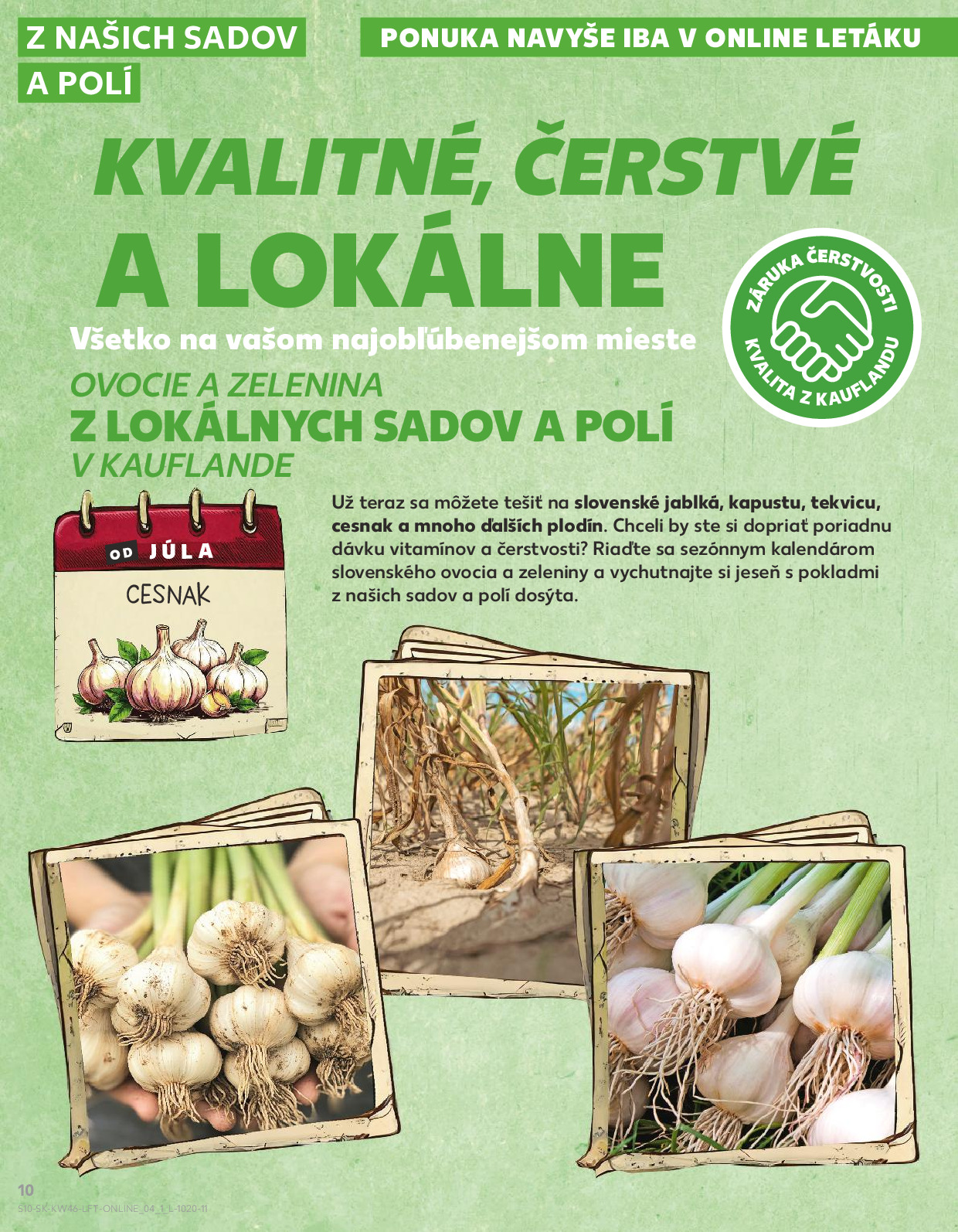 Strana letáku 10