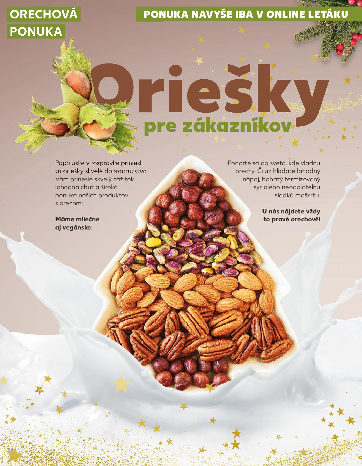 Strana letáku 36